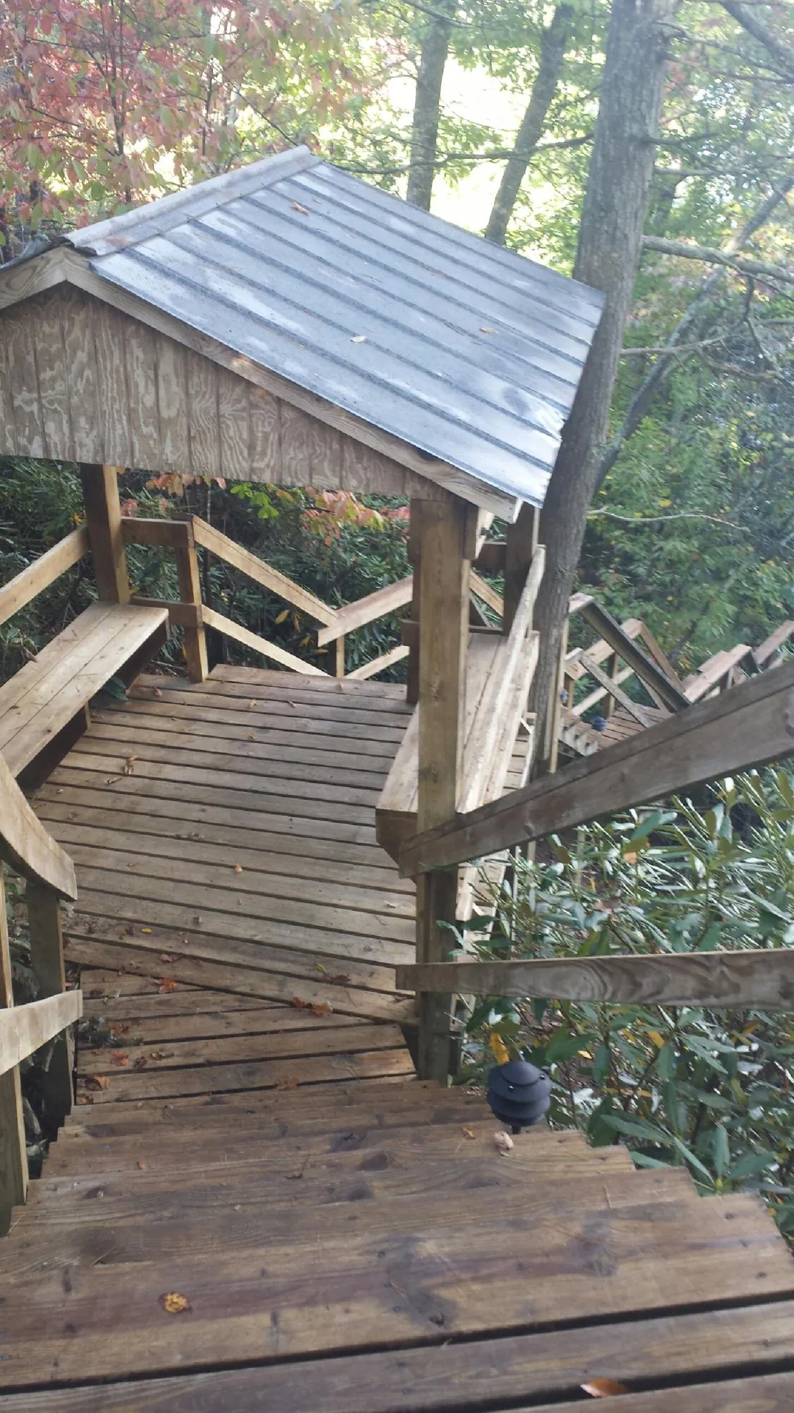 Metal roofed shelter over wooden steps on a wooded walkway — Skylight Repair & Installation work by our crew in Bell Buckle
